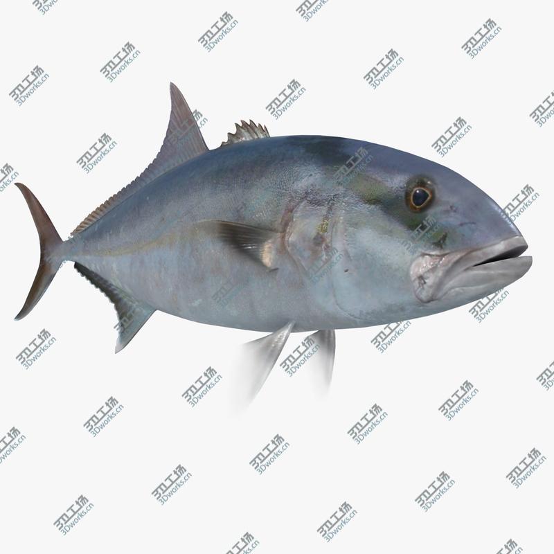 images/goods_img/20210114/Fish Megapack/4.jpg